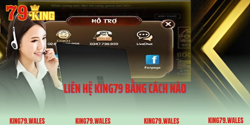 Liên hệ 79King bằng cách nào